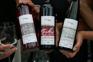 vignoble dnas le Nord du Québec